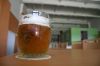 Filename=interviewprofbiere10-06-2008_42.jpg
Filesize=1894KB
Dimensions=2496x1664
Date added=Jul 06, 2008 interviewprofbiere10-06-2008_42.jpg
