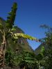DSC02188.JPG