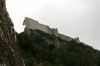 perpeytuse06-08-2007_06.JPG