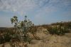 plagesouston13-08-2007_06.JPG