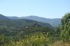 termes04-08-2007_03.JPG